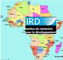 Logo- IDR en Afrique