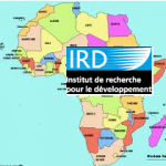 Logo- IDR en Afrique